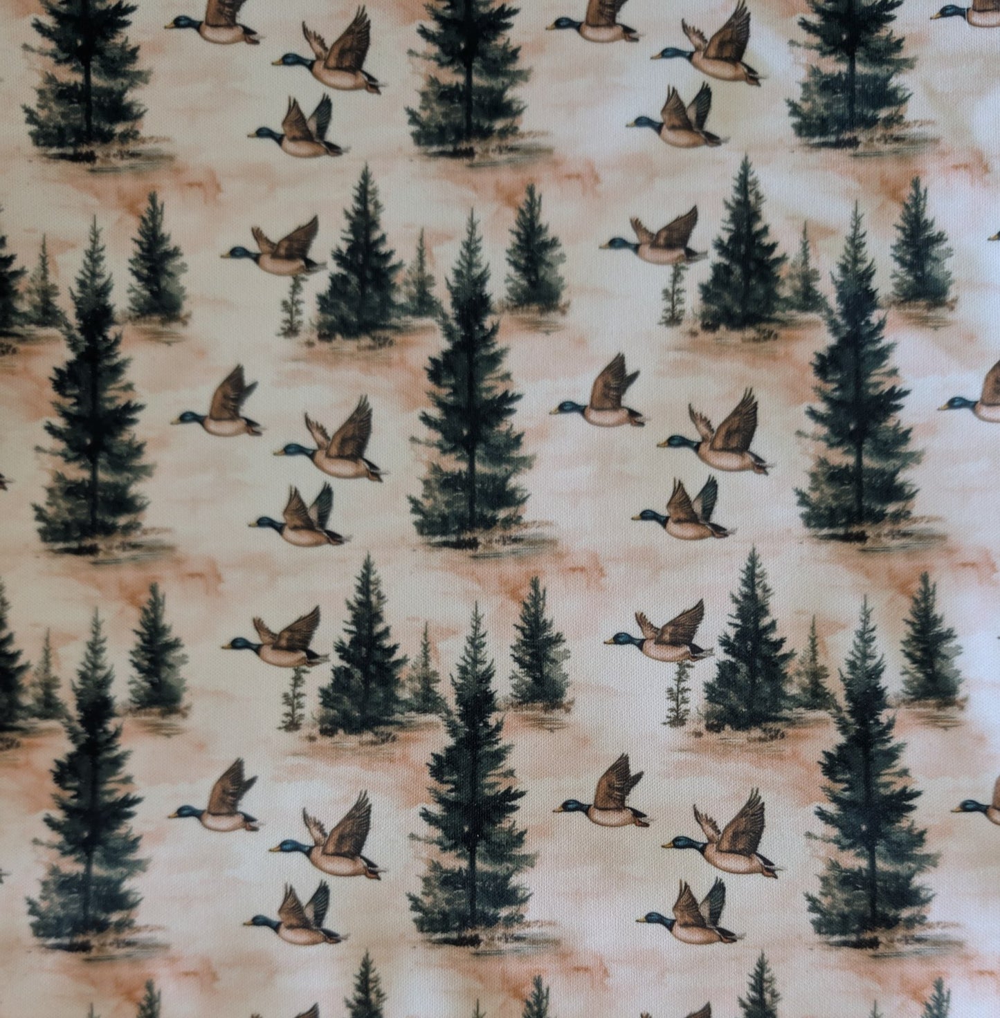 Comfy Cuffed T-Shirts 12M-3T MISC PRINTS